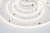 Светодиодная лента Digital 2835-120-24- 4000K-IP20 (12 W/m, 10mm, 5m)