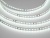 Светодиодная лента 2835-128-24-6000K-IP20 (12 W/m, 8mm, 5m)